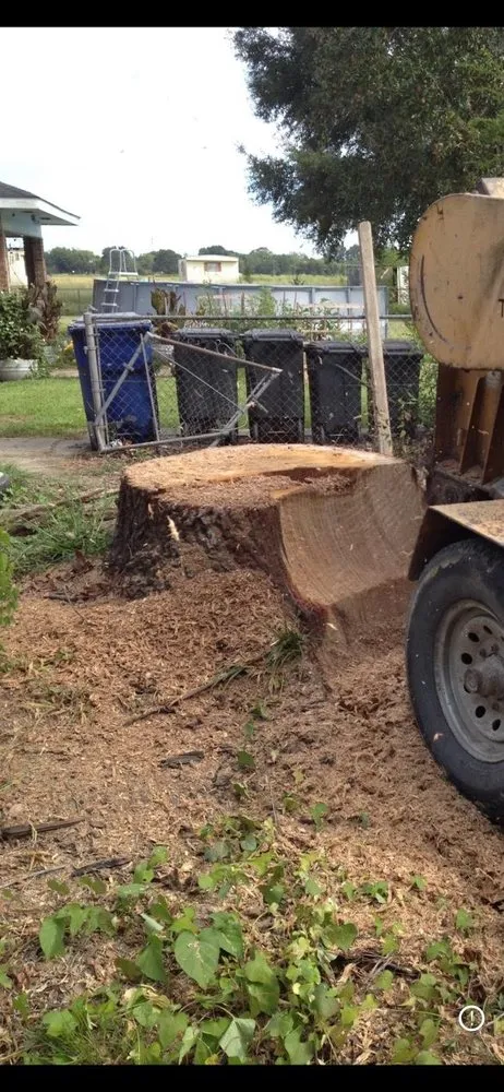 Custom lawn care service in Opelousas, LA by Young's Lawn And Tree Service