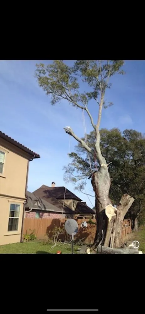 Expert landscaping services in Opelousas, LA by Young's Lawn And Tree Service