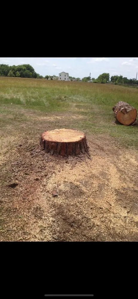 Local garden landscaping for outdoor upgrades across Opelousas, LA - Young's Lawn And Tree Service