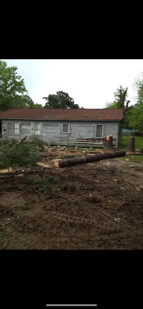 Professional outdoor landscaping in Opelousas, LA - Young's Lawn And Tree Service