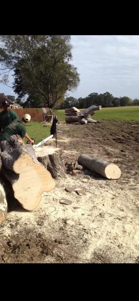 Local lawn mowing service experts serving Opelousas, LA - Young's Lawn And Tree Service