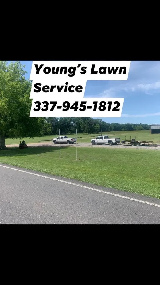 Top-rated landscape installation for residential properties across Opelousas, LA - Young's Lawn And Tree Service