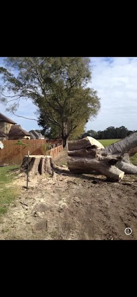 Affordable lawn care service experts serving Opelousas, LA - Young's Lawn And Tree Service