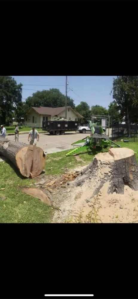 Trusted landscape design in Opelousas, LA by Young's Lawn And Tree Service