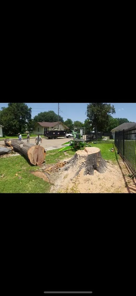 Reliable yard maintenance in Opelousas, LA by Young's Lawn And Tree Service
