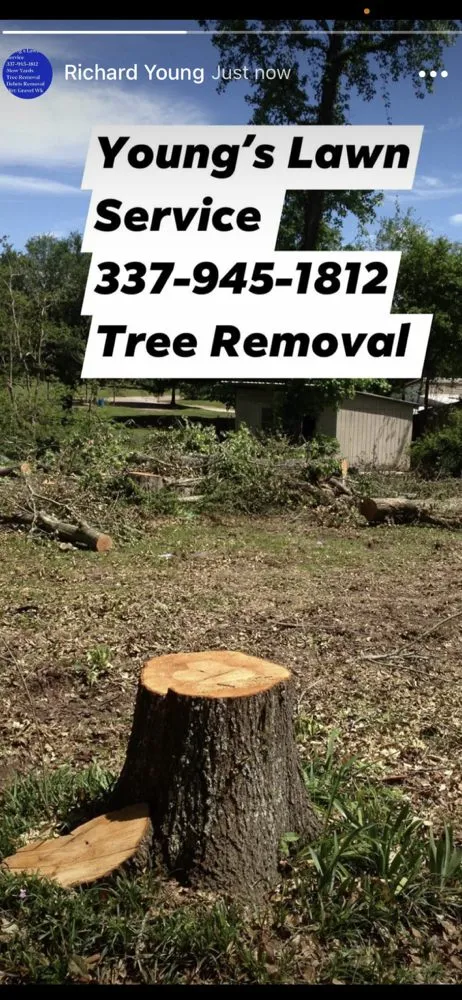 Custom landscape design in Opelousas, LA - Young's Lawn And Tree Service