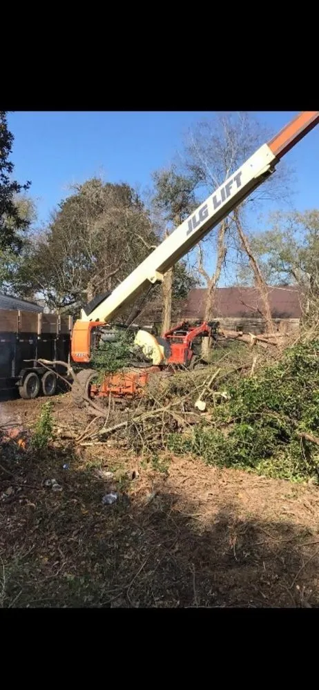 Professional landscape design in Opelousas, LA by Young's Lawn And Tree Service