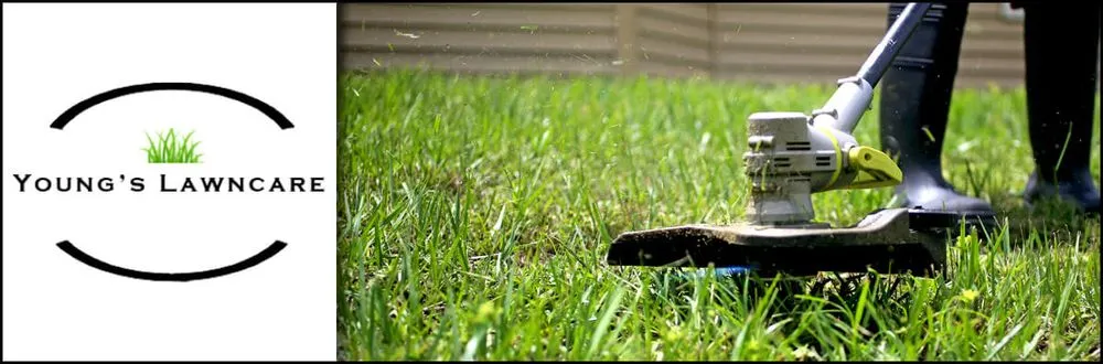 Professional outdoor landscaping experts serving Clinton, MS - Young's Lawn Care