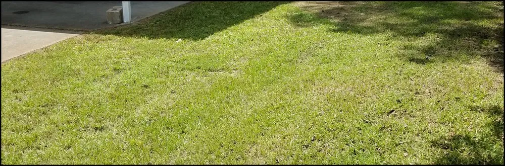 Custom landscape design in Clinton, MS by Young's Lawn Care