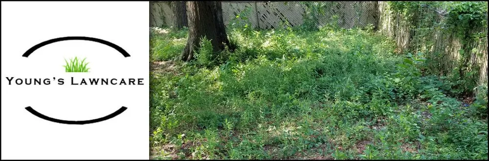 Professional garden landscaping experts serving Clinton, MS - Young's Lawn Care