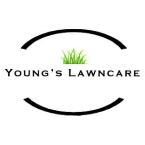 Expert yard cleanup service for residential properties across Clinton, MS - Young's Lawn Care