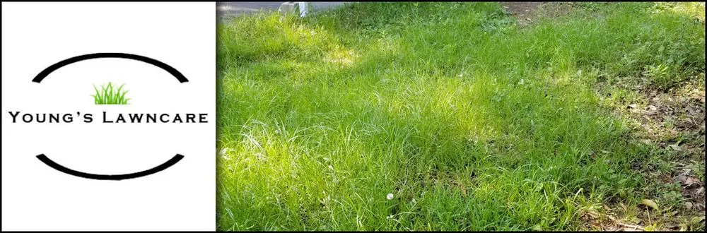 Expert outdoor landscaping near you across Clinton, MS - Young's Lawn Care