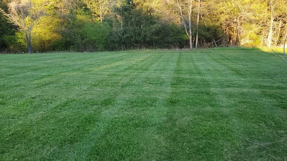 Top-rated residential landscaping for residential properties across Spencer, VA - Youngs Lawn Care
