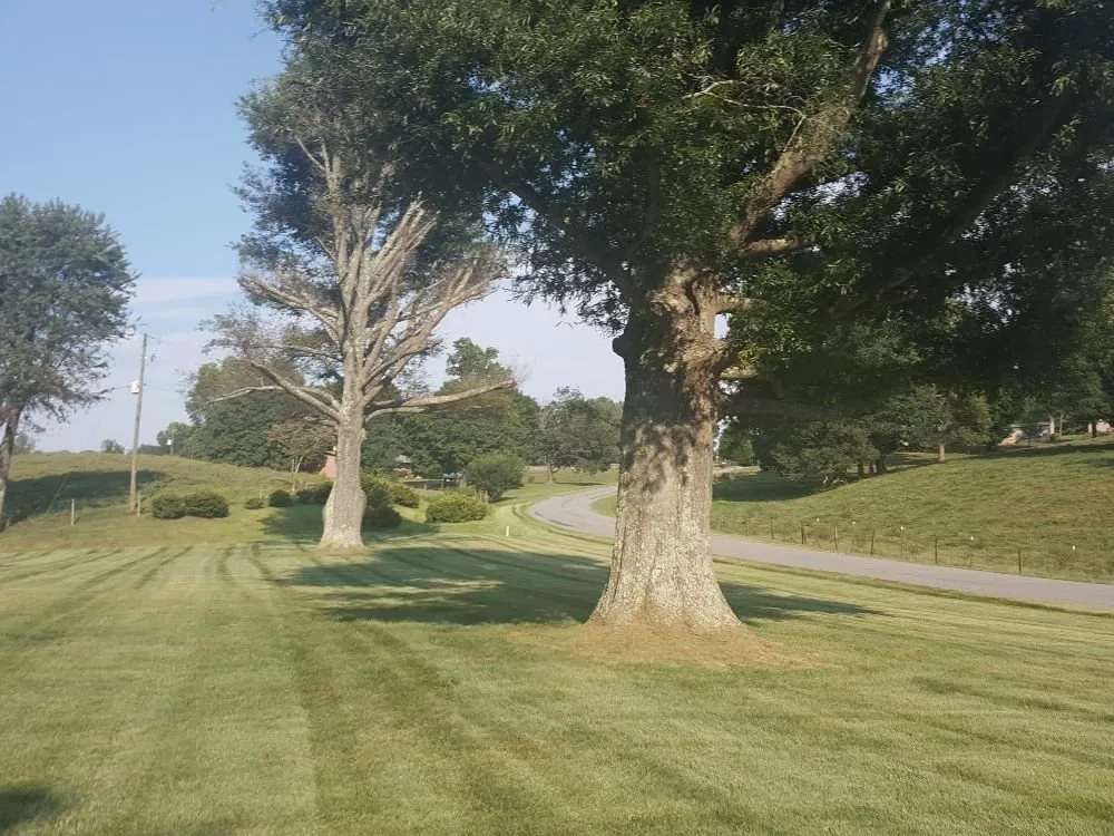 Professional landscape design with custom design in Spencer, VA by Youngs Lawn Care
