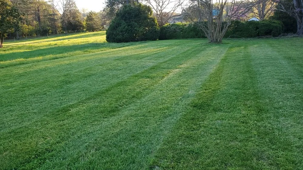 Trusted yard cleanup service with custom design in Spencer, VA by Youngs Lawn Care