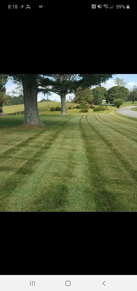 Trusted lawn care service experts serving Spencer, VA - Youngs Lawn Care
