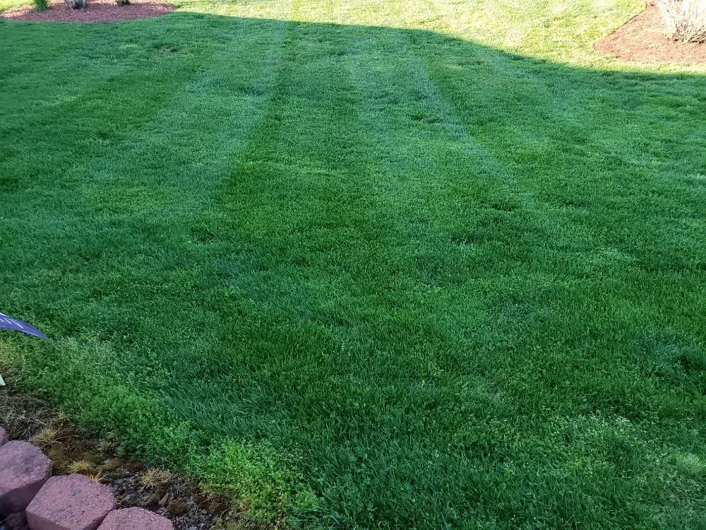 Custom garden landscaping experts serving Spencer, VA - Youngs Lawn Care
