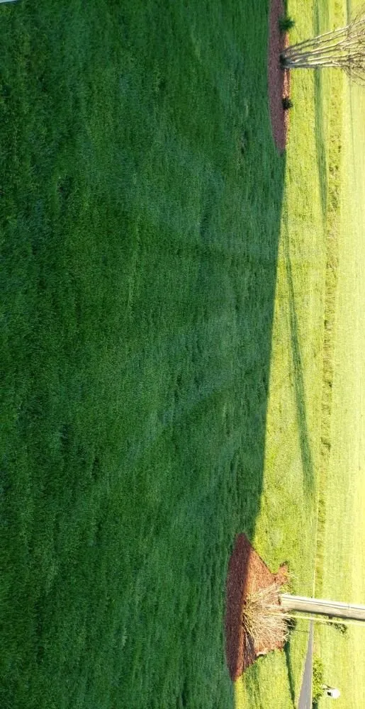 Professional residential landscaping in Spencer, VA by Youngs Lawn Care