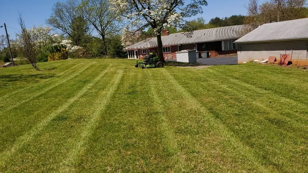 Trusted lawn care service experts serving Spencer, VA - Youngs Lawn Care