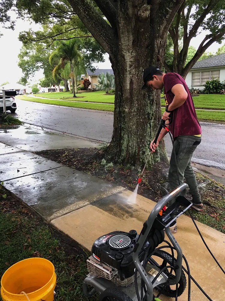 Local yard cleanup service in Tarpon Springs, FL - Young’s Lawn Care