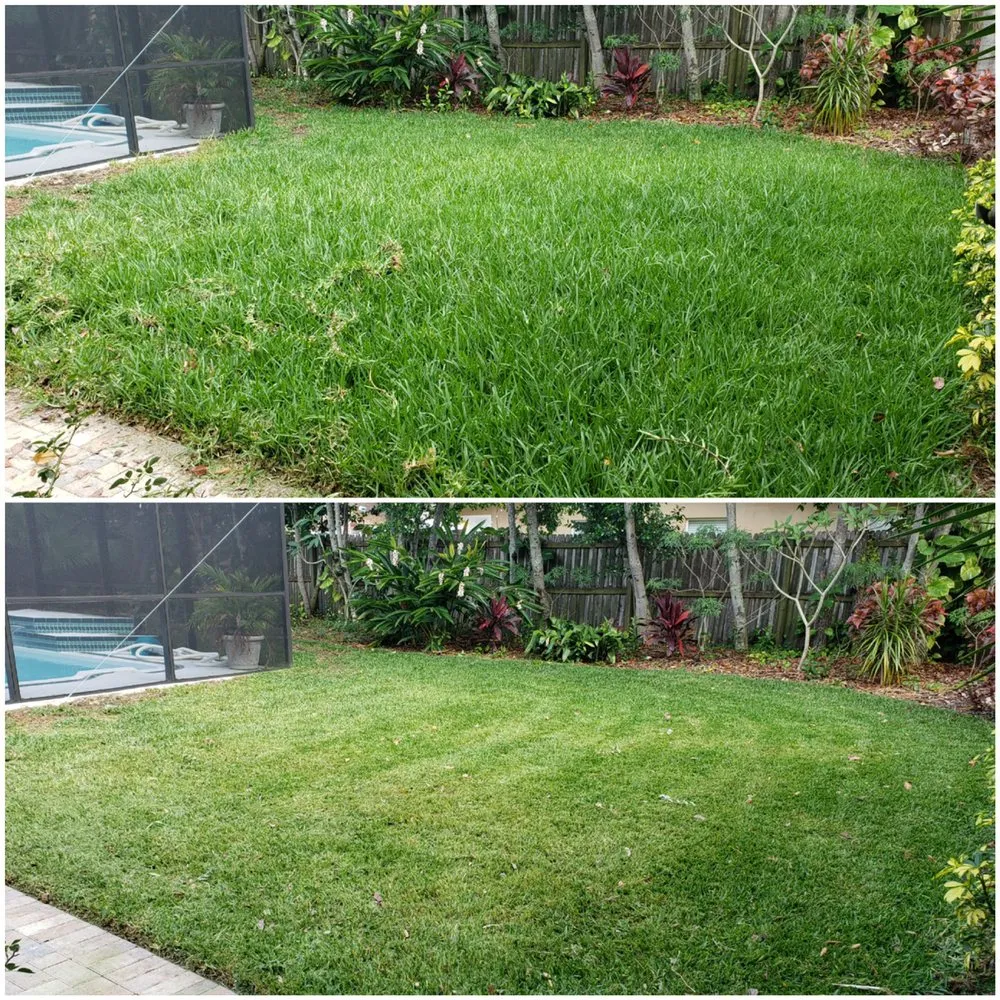 Top-rated outdoor landscaping in Tarpon Springs, FL - Young’s Lawn Care