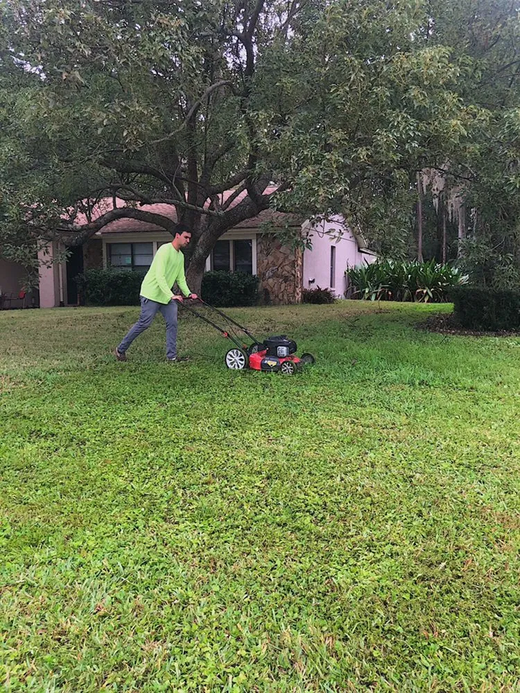 Professional landscape installation in Tarpon Springs, FL by Young’s Lawn Care