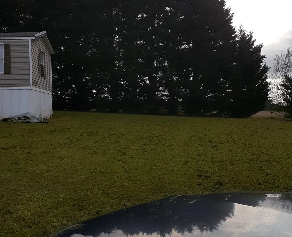 Expert landscape design for residential properties in Hickory, NC by Youngs Lawn Services