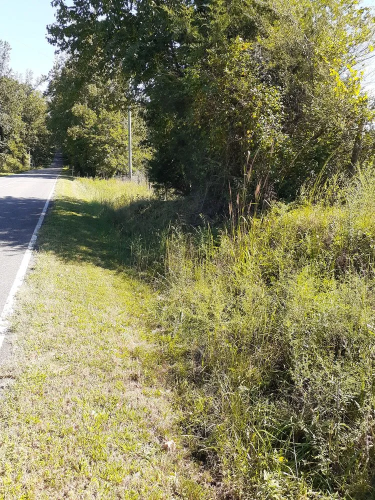 Custom lawn care service in Hickory, NC - Youngs Lawn Services