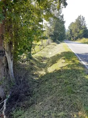 Youngs Lawn Services Logo