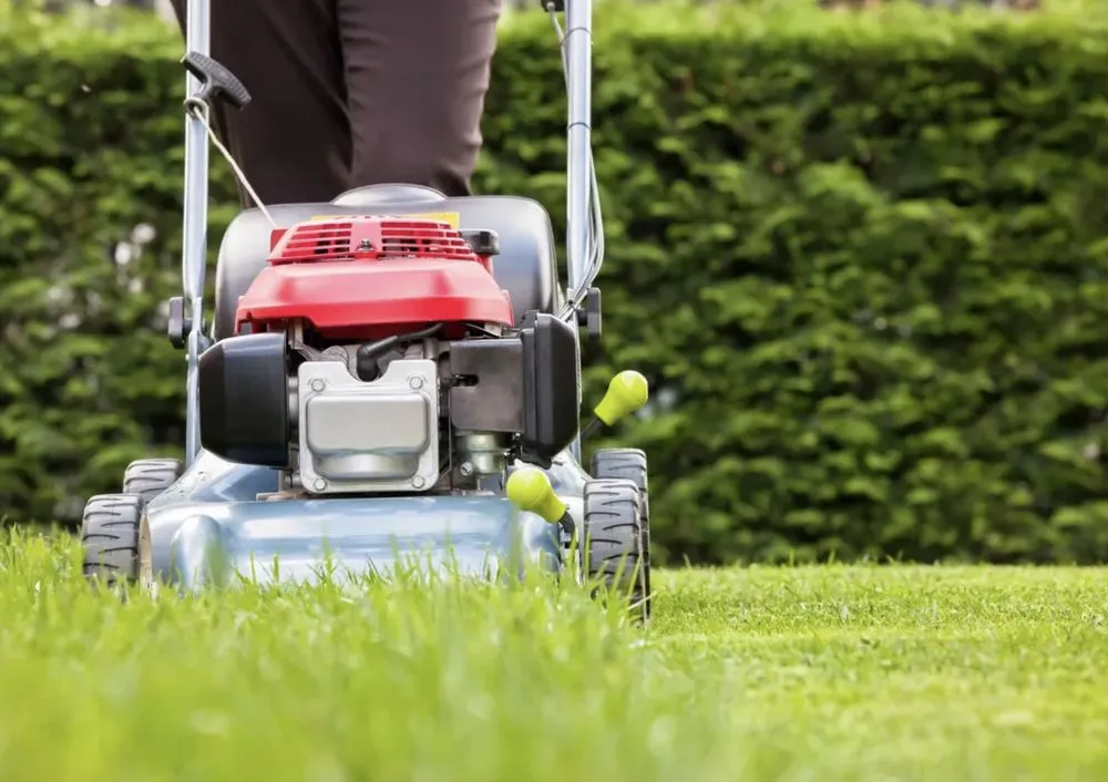 Top-rated garden landscaping for outdoor upgrades across Wellington, OH - Young's Lawncare and More