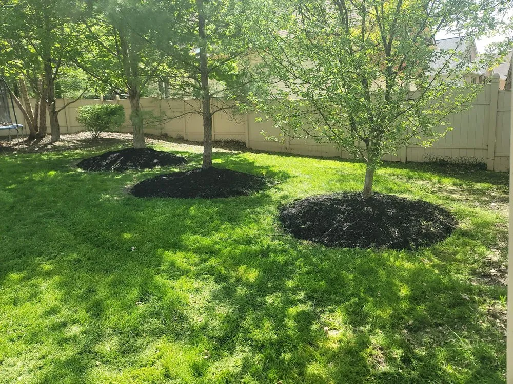 Affordable landscaping services in Wellington, OH - Young's Lawncare and More