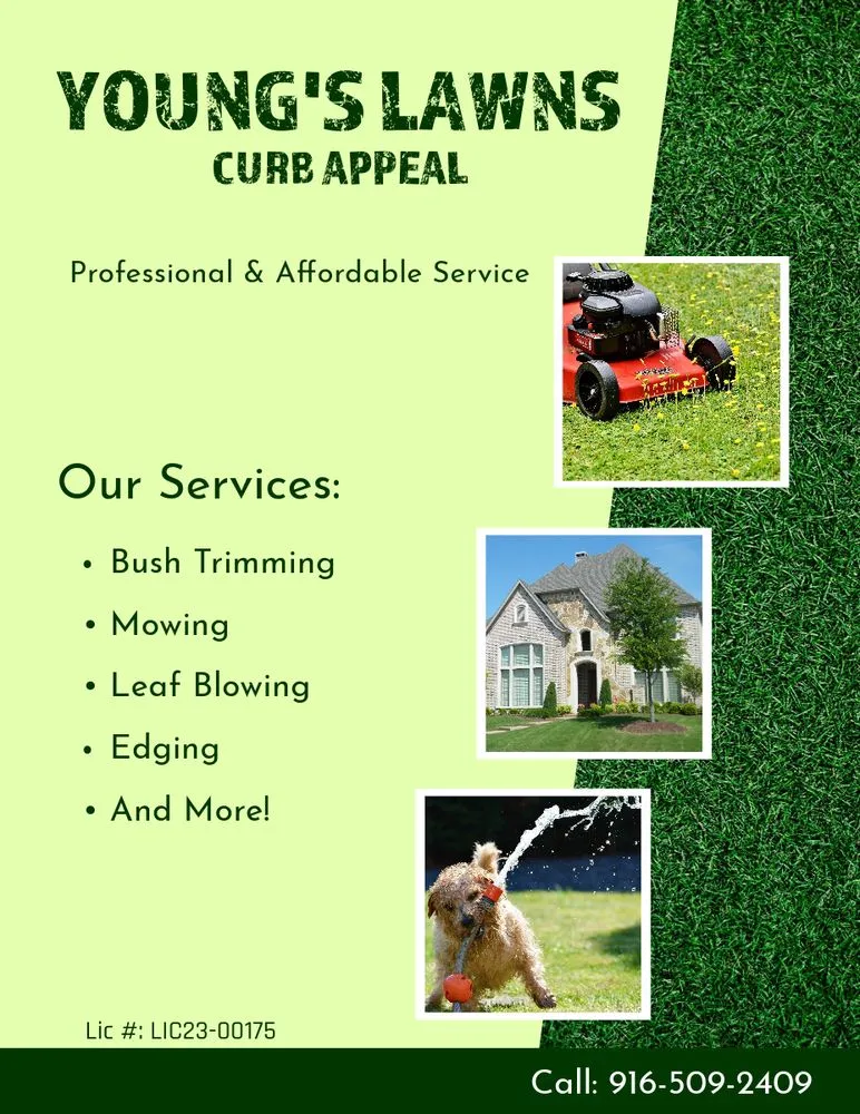 Trusted garden landscaping for residential properties in Sacramento, CA by Young's Lawns Curb Appeal