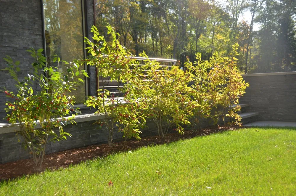 Top-rated yard cleanup service for homes in Newtown, CT by Young's Legacy Landscaping
