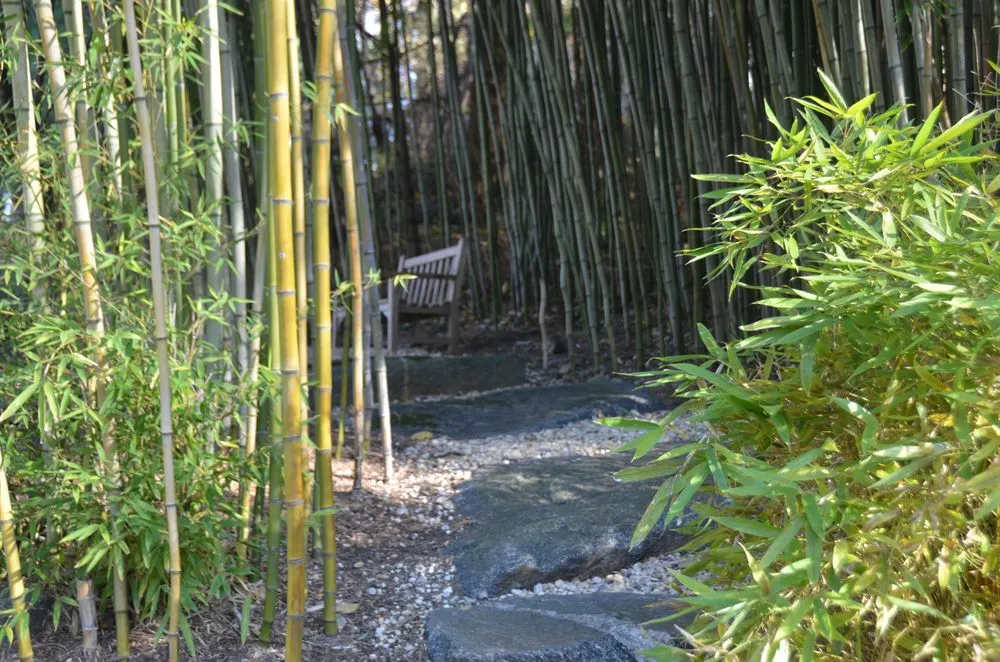 Local landscaping services near you in Newtown, CT by Young's Legacy Landscaping