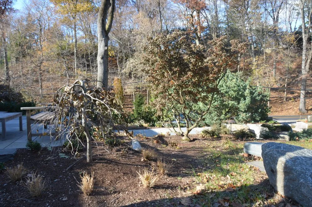 Local yard maintenance experts serving Newtown, CT - Young's Legacy Landscaping