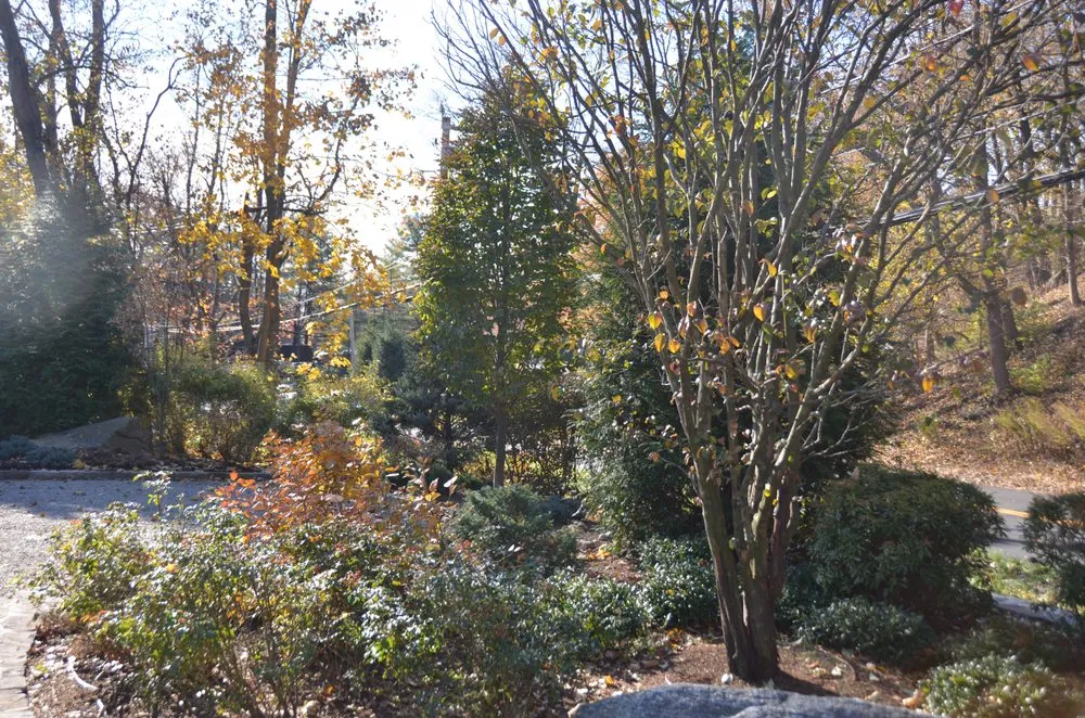 Local landscaping services in Newtown, CT - Young's Legacy Landscaping