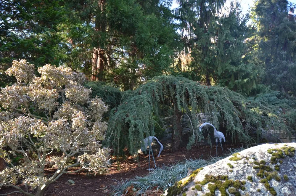 Local outdoor landscaping in Newtown, CT - Young's Legacy Landscaping