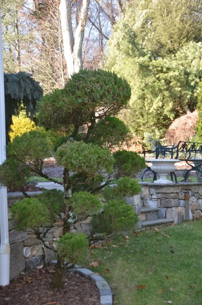 Local yard maintenance for outdoor upgrades across Newtown, CT - Young's Legacy Landscaping