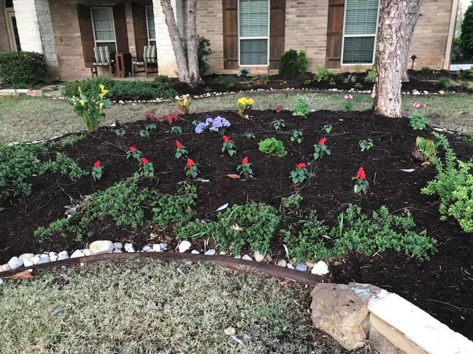 Affordable lawn care service for residential properties in Texarkana, TX by Young's Outdoor Solutions