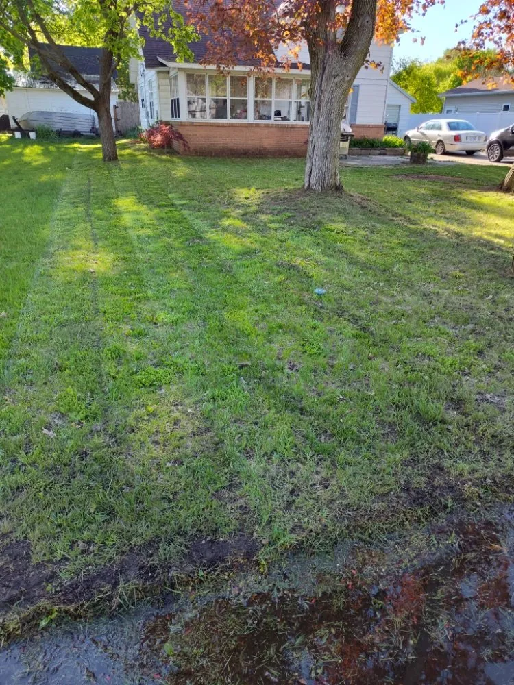 Professional outdoor landscaping in Stanton, MI by Young's OutDoors Needs