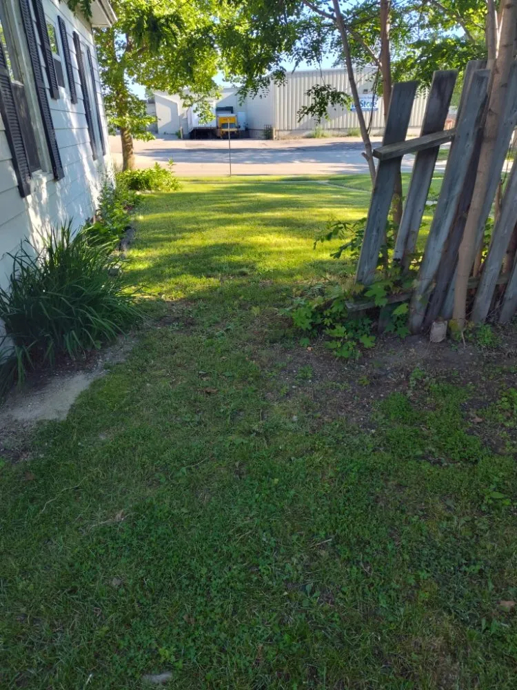 Expert yard maintenance in Stanton, MI by Young's OutDoors Needs