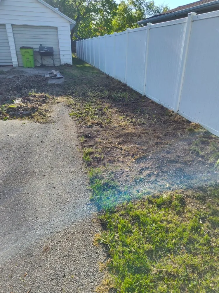 Trusted yard cleanup service for year-round maintenance in Stanton, MI by Young's OutDoors Needs