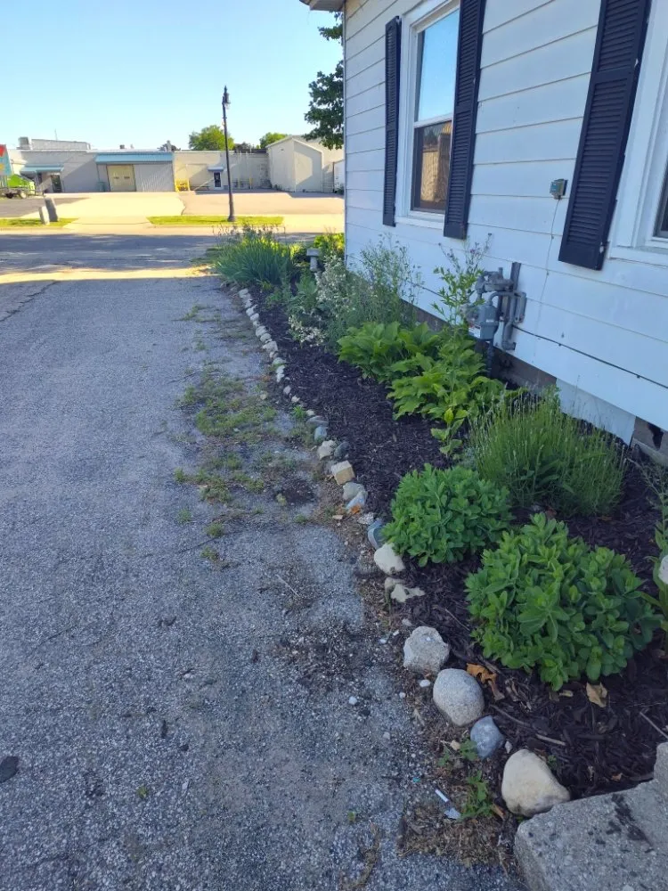 Reliable yard cleanup service in Stanton, MI by Young's OutDoors Needs