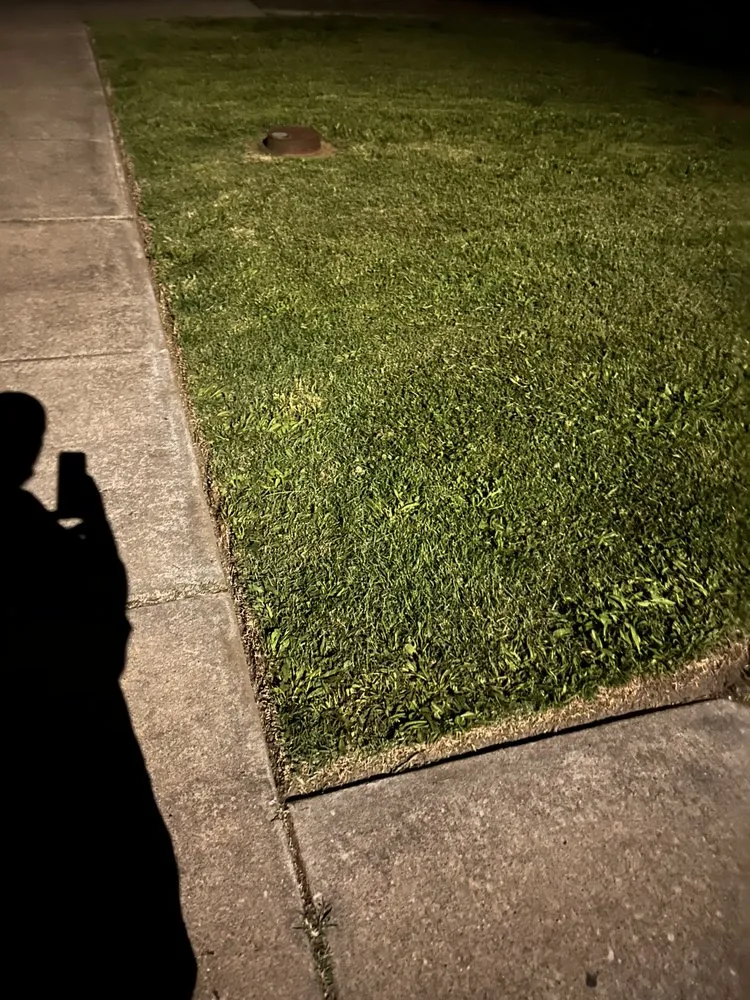 Reliable lawn mowing service in Centreville, IL by Young’s Precision Lawn Landscaping