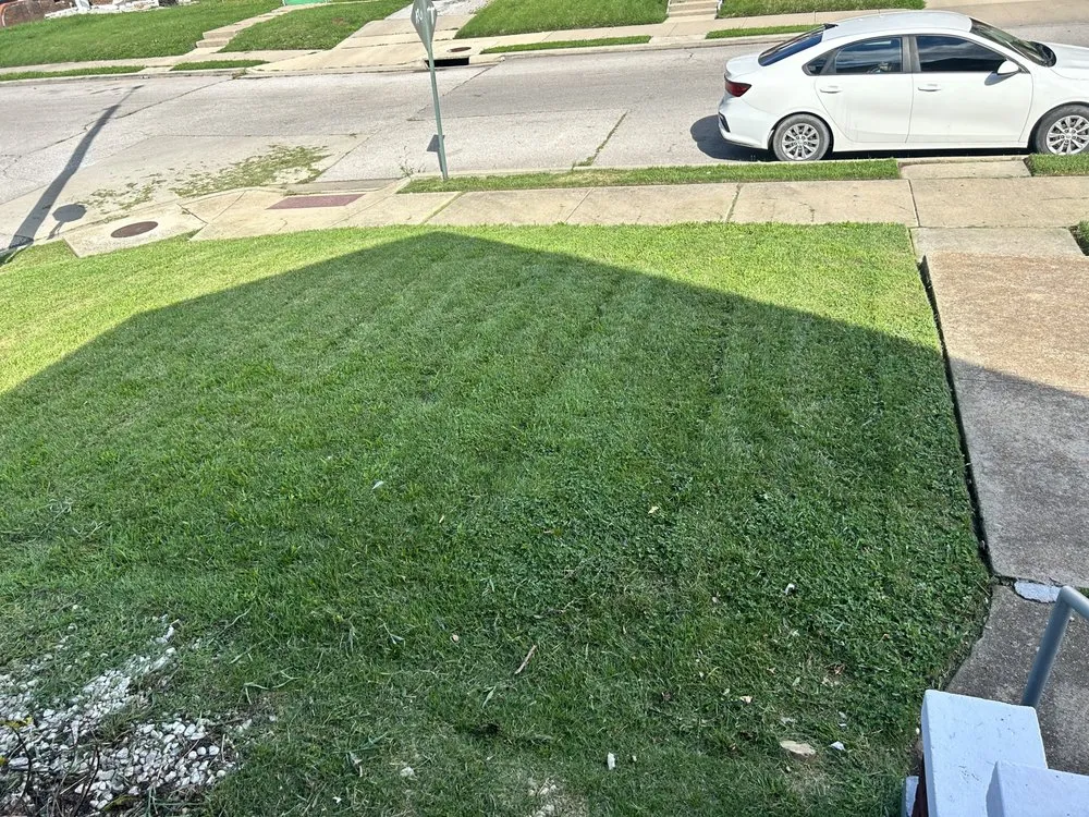 Professional landscaping services for year-round maintenance in Centreville, IL by Young’s Precision Lawn Landscaping