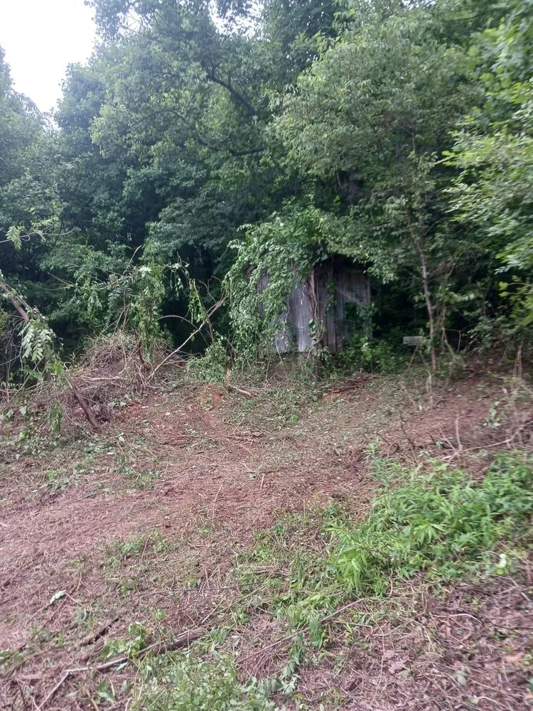 Top-rated yard cleanup service with custom design across Fletcher, NC - Youngs Property Maintenance