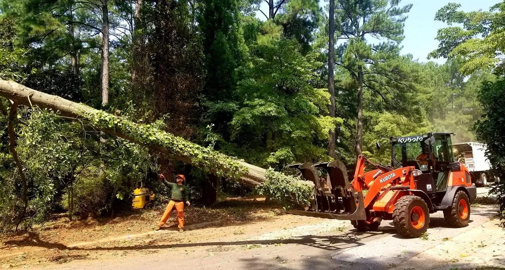 Custom yard maintenance in Raleigh, NC by Youngs Tree Tech