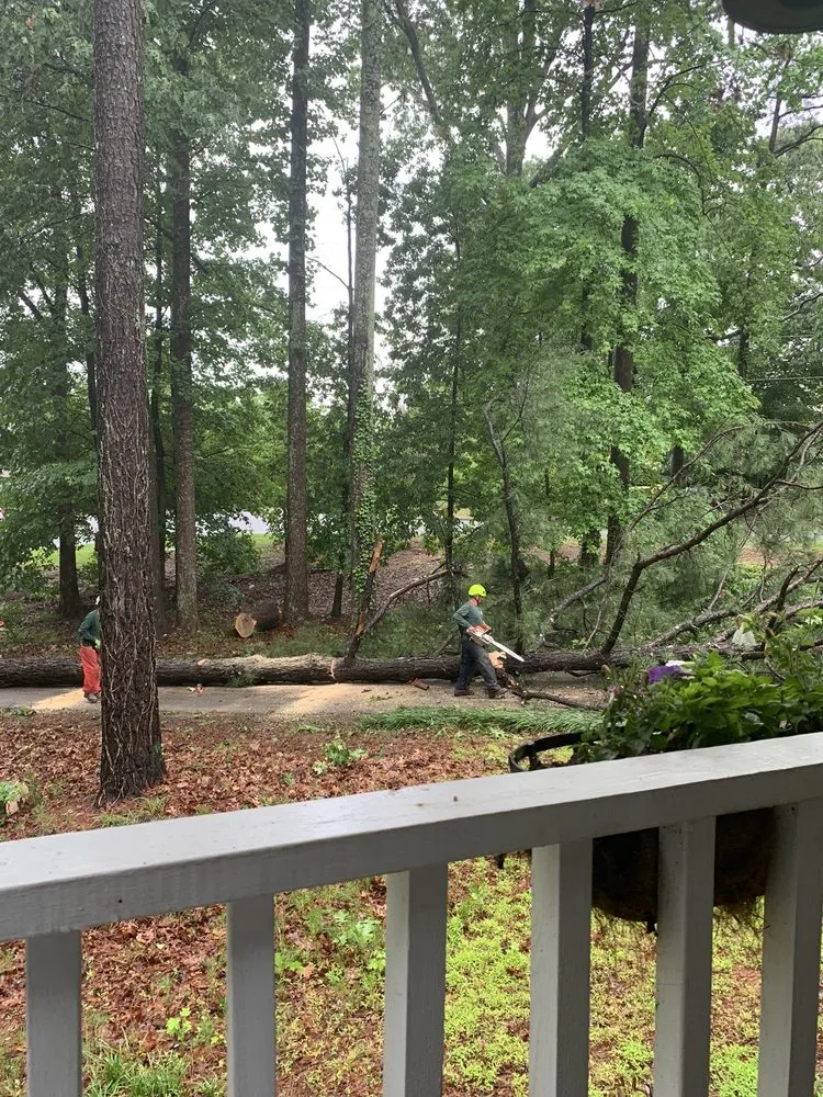 Custom landscaping services in Raleigh, NC - Youngs Tree Tech