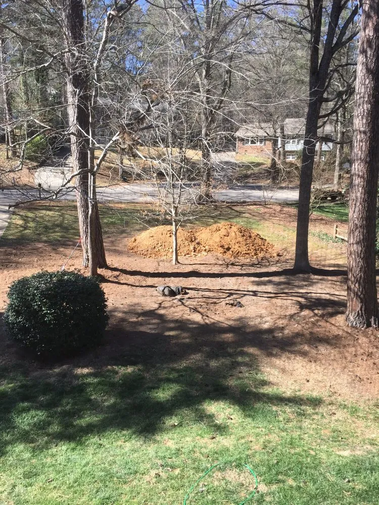 Professional garden landscaping for residential properties in Raleigh, NC by Youngs Tree Tech