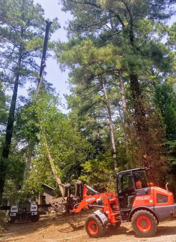 Affordable yard cleanup service for residential properties in Raleigh, NC by Youngs Tree Tech